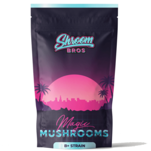 b+ magic mushrooms