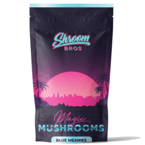 auto draft